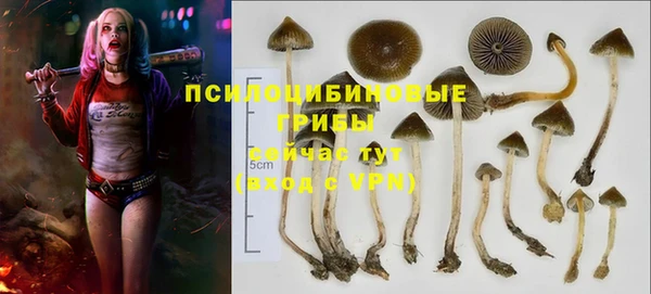 ПСИЛОЦИБИНОВЫЕ ГРИБЫ Алзамай