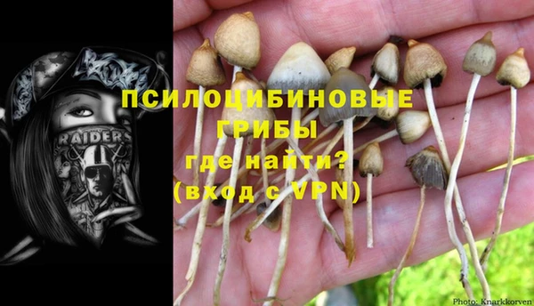 ПСИЛОЦИБИНОВЫЕ ГРИБЫ Алзамай